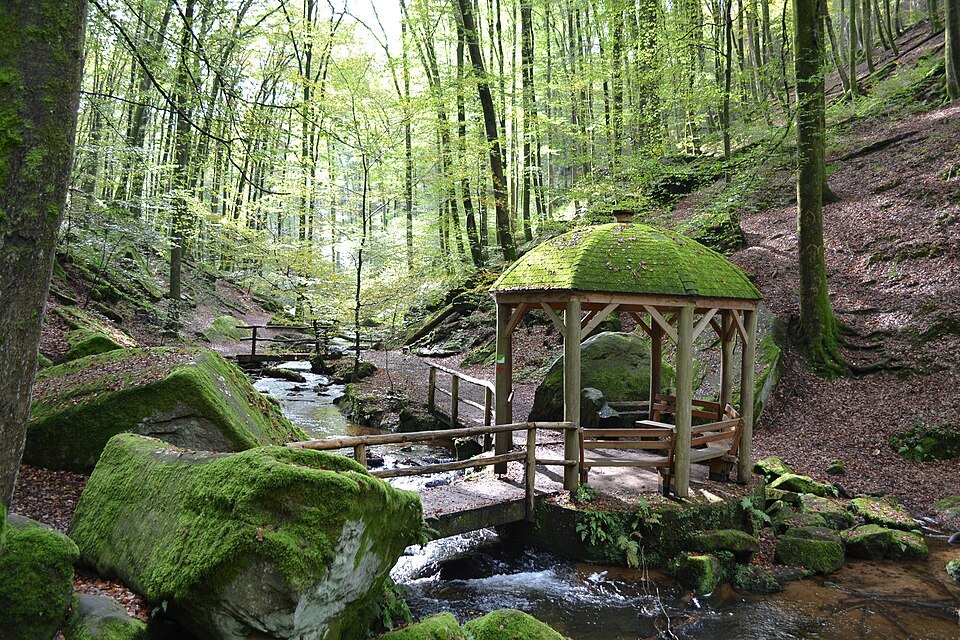 Pfälzerwald – Karlstalschlucht bei Trippstadt