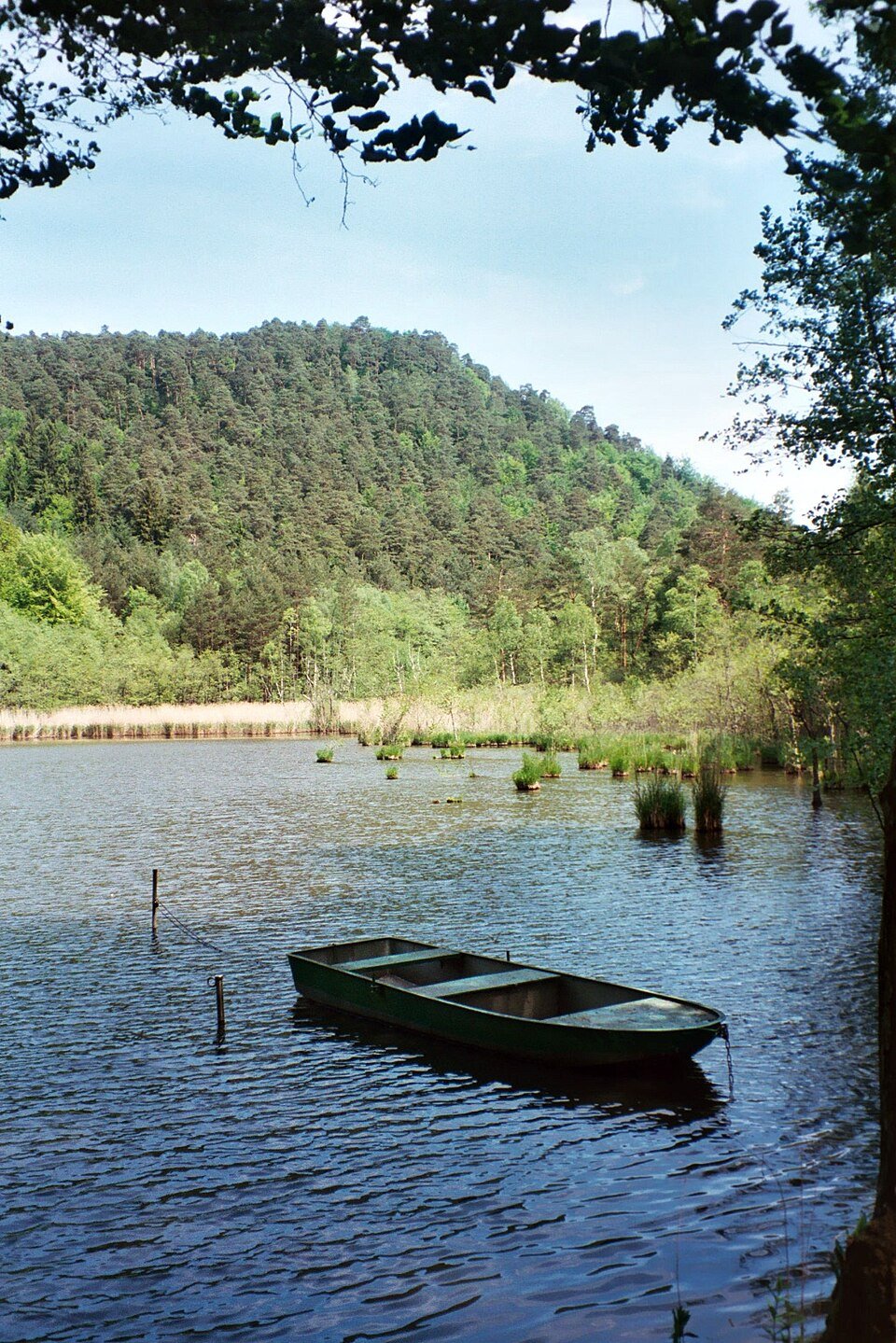 Seehof‑Weiher bei Erlenbach – ruhiger See im Pfälzerwald